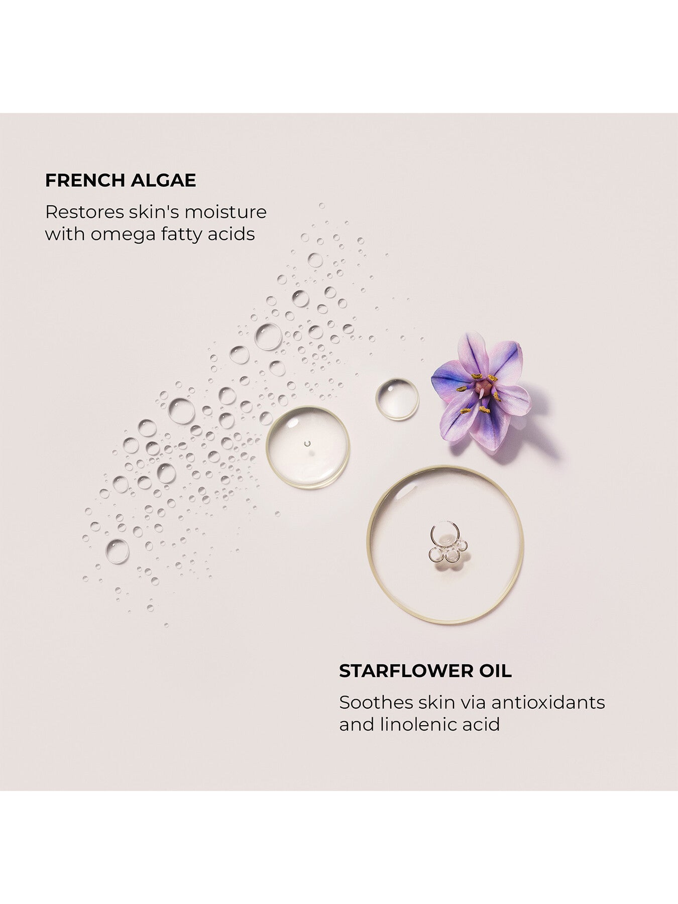 Serum Body Cream - Néroli du Sud